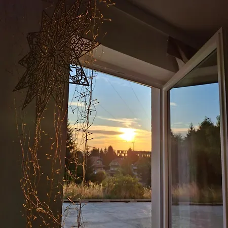 Pogled Iznad Oblaka Kopaonik