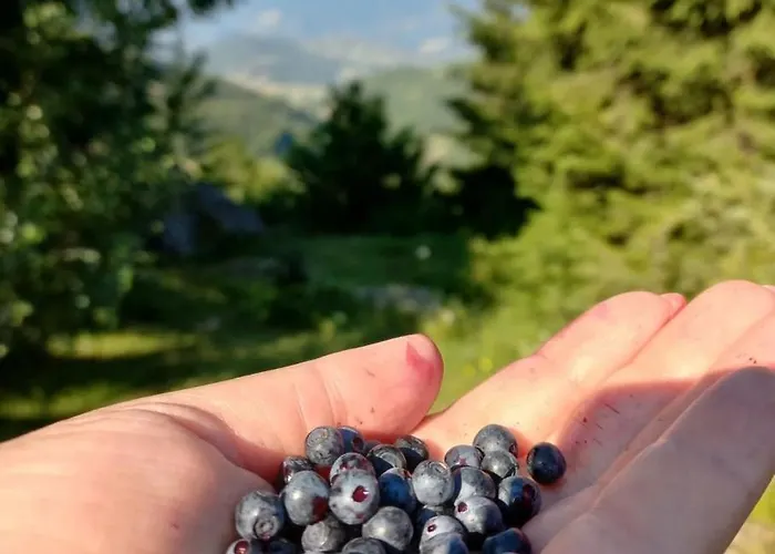 Pogled Iznad Oblaka شقة *